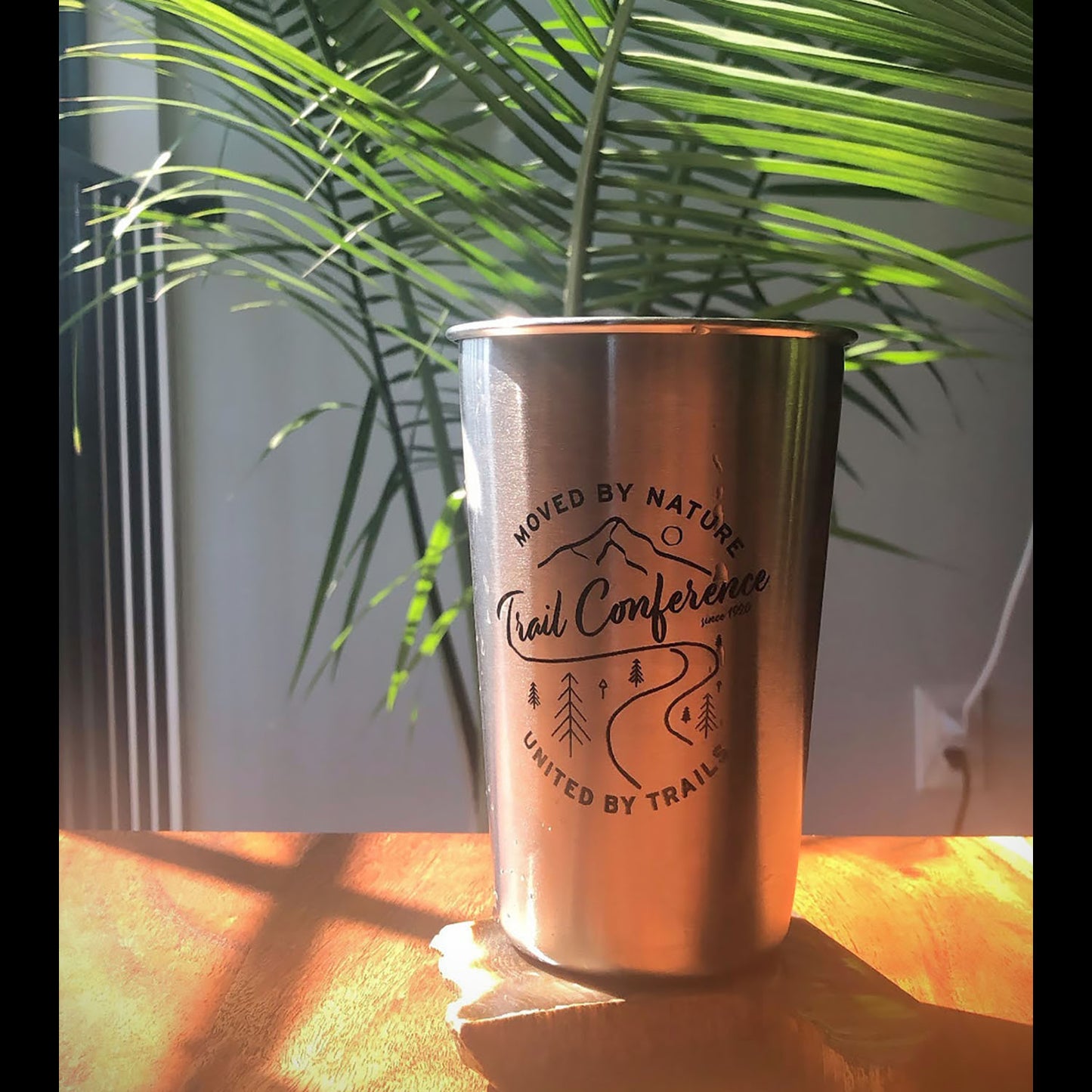 Stainless Steel Tumbler